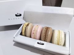 马卡龙-BLACKSWAN黑天鹅(环球店)