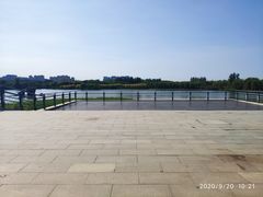 -大兴滨河森林公园