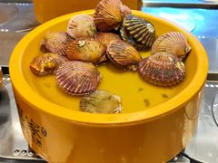 扇贝-喜家自助小火锅(乐客城店)