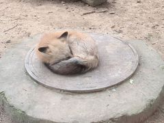 -无锡动物园·太湖欢乐园