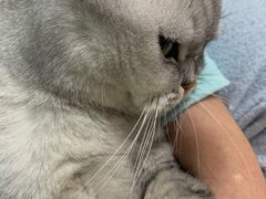 -呷哺呷哺 蔬菜畅吃(中发百旺店)