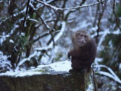-九峰山