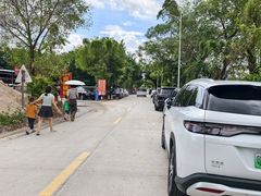 -洲心街道青联村镜记烧肉