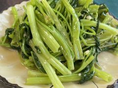 -古榕农庄·桑拿簸箕菜·招牌泥焗鸡(清远长隆店)