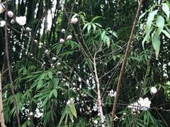 -广州锦绣香江度假别墅