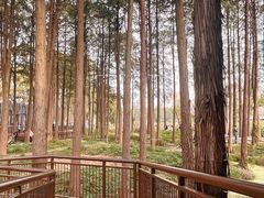 -武汉动物园