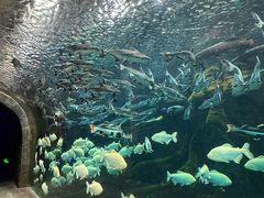 -波塞冬旅游度假区