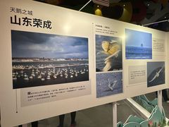 -中国宋庆龄青少年科技文化交流中心