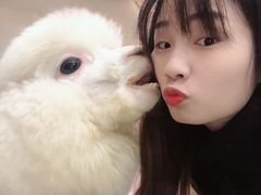 -藦茜花园宠物主题亲子互动体验馆(国顺东路店)