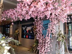 -sugarman espresso素饮糖人高新咖啡工厂