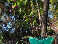 -水濂山森林公园