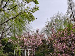 -兰溪青年公园