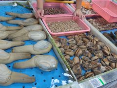 -南沙十九涌渔人码头-南门