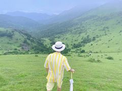 -大姆山草场