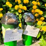 「萃春疯(中联商城店)」