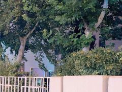 -二十一世纪饭店-游泳馆