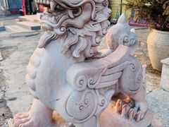 -景明轩•养生酸汤鱼火锅 云贵鲜菌 现舂野果酸汤(王寨小区店)