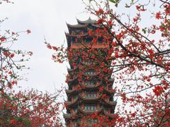 -塔子山公园