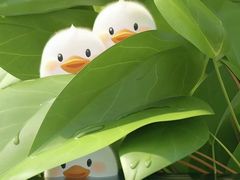 -顺旺基大厨现炒(哥伦布店)