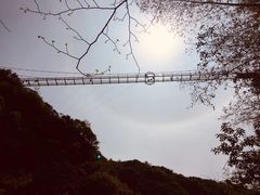 -宁波五龙潭景区