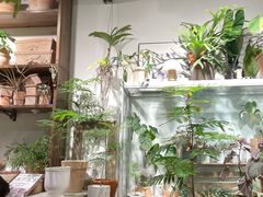 -自由生长植物工作室(深港花卉中心店)