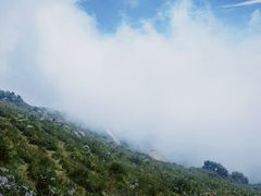 -白草畔自然风景区