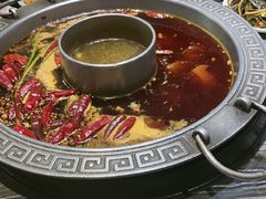 -杨肥肠火锅大排档(火车站花园店)