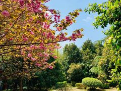 -华东理工大学-图书馆