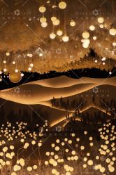 点击看大图 -三色锦婚礼定制