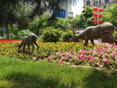 -丰台花园
