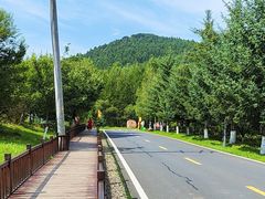 -横道河子东北虎林园
