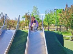 -爪吧宠物乐园 (温榆河示范区店)