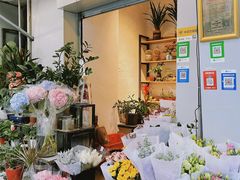 -溪岸路花鸟市场