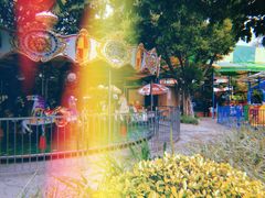 -晓港公园
