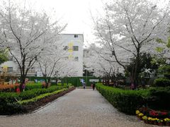 -湖北省省直机关第二幼儿园