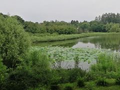 -大兴滨河森林公园