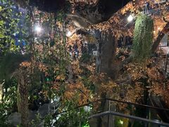-云境生态园(红谷滩店)
