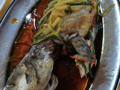 清蒸石斑鱼-板桥海鲜广场(文明东店)