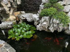 -呼吸森林·生态农庄农家乐私房菜