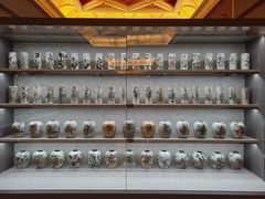 -呼和浩特博物馆