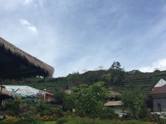 -优游吧斯邹族文化部落