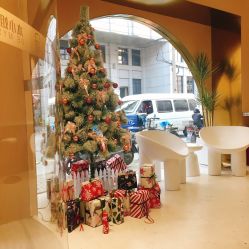 -本小姐美学·半永久纹眉野生眉