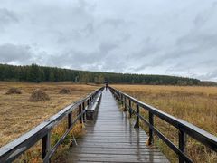 -塞罕坝国家级自然保护区