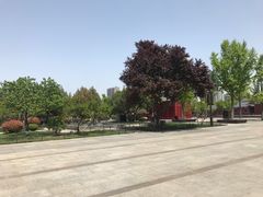 -大雁塔北广场音乐喷泉