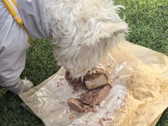 -小辫子羊肉面馆(周东店)