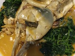 -臻品汇-镇江菜-河豚(大润发店)