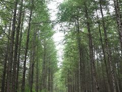 -南天门文化旅游风景区