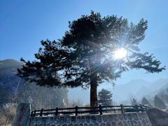 -秦岭终南山世界地质公园翠华山景区