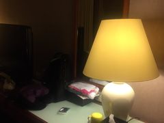 -新加坡瑞士史丹福酒店