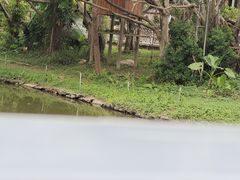 -深圳野生动物园